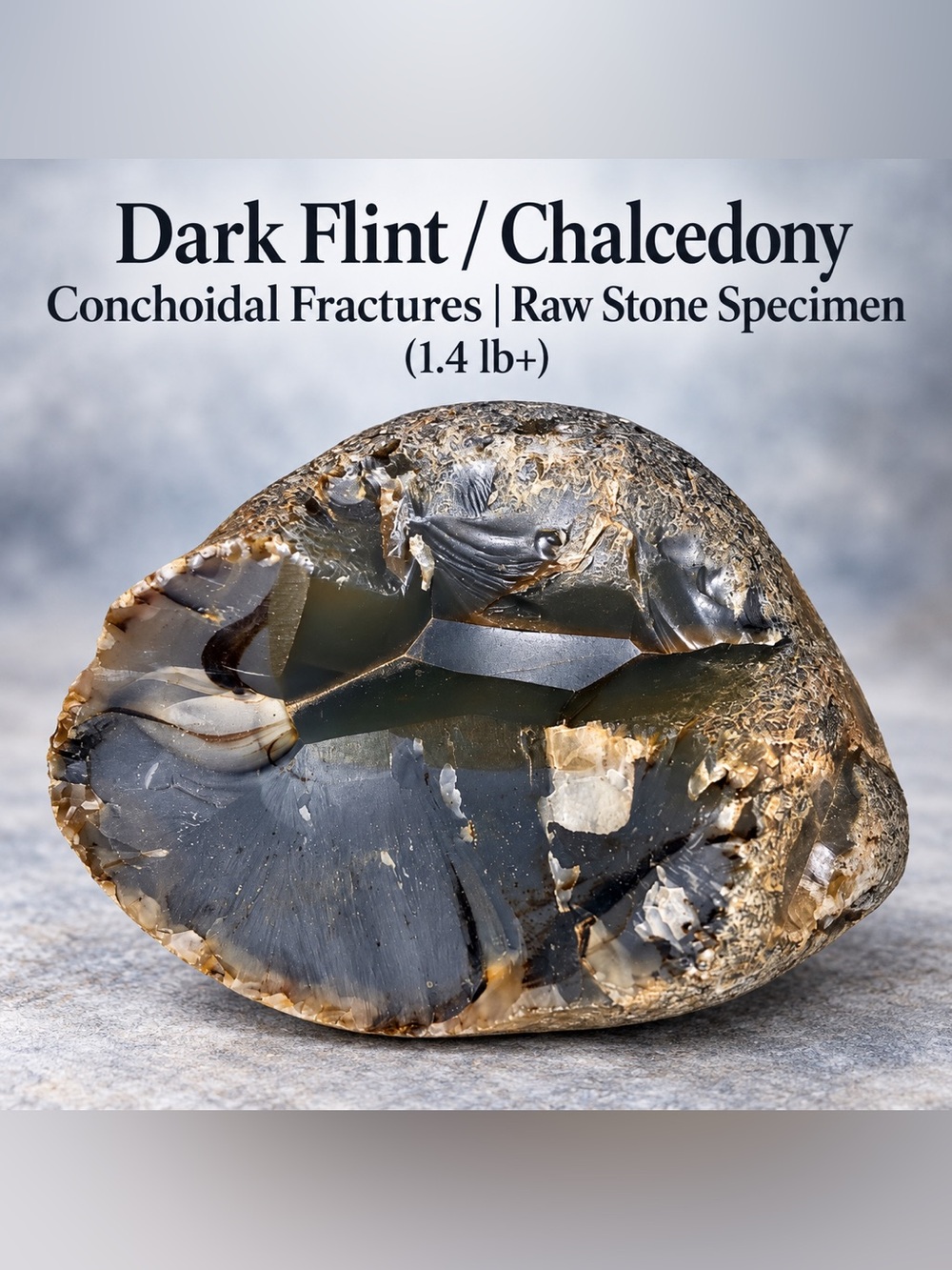 Dark Flint / Chalcedony with Conchoidal | Raw Stone Specimen | 1.4 lb+